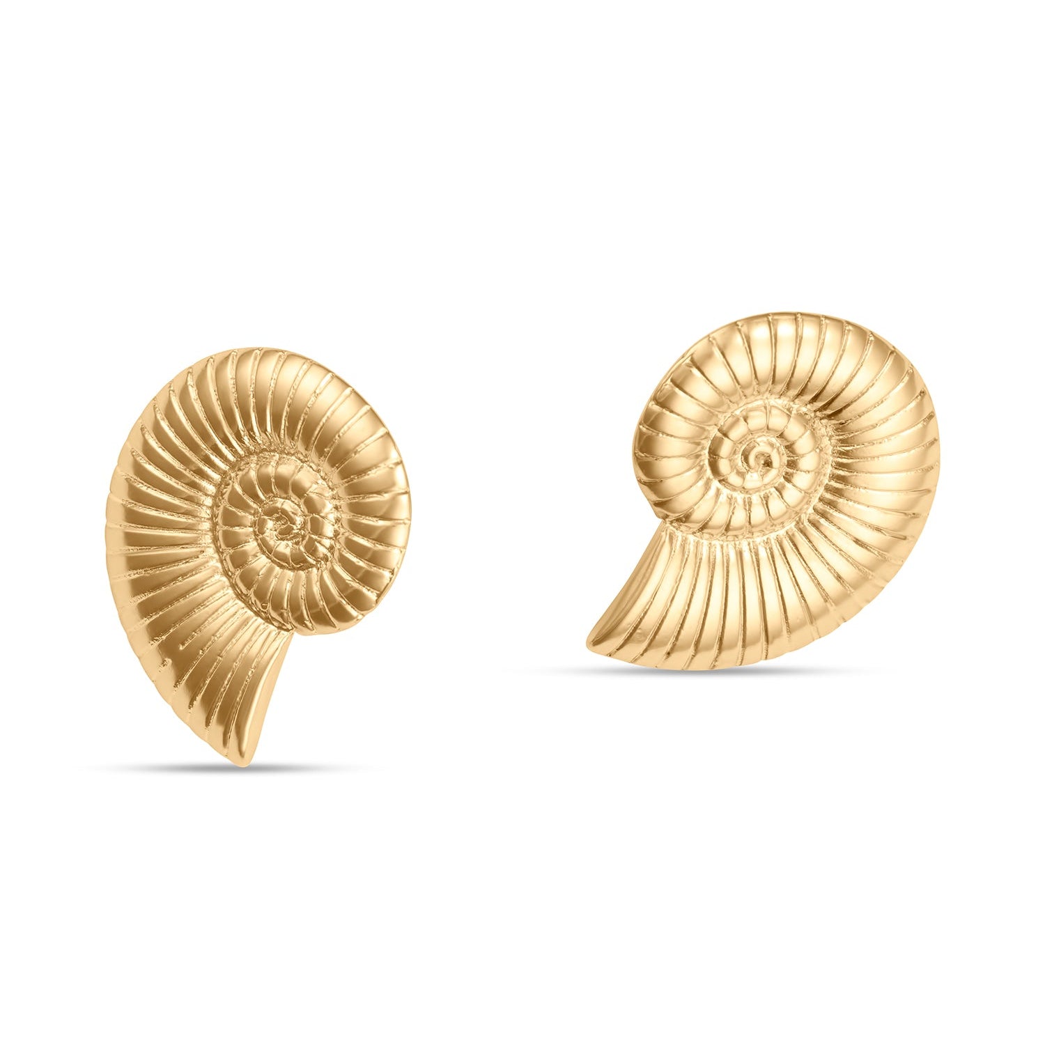 La Cosse Shell Earring, Small and Large