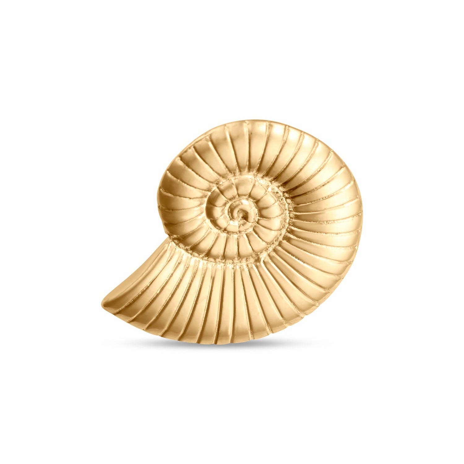 La Cosse Shell Earring, Small and Large