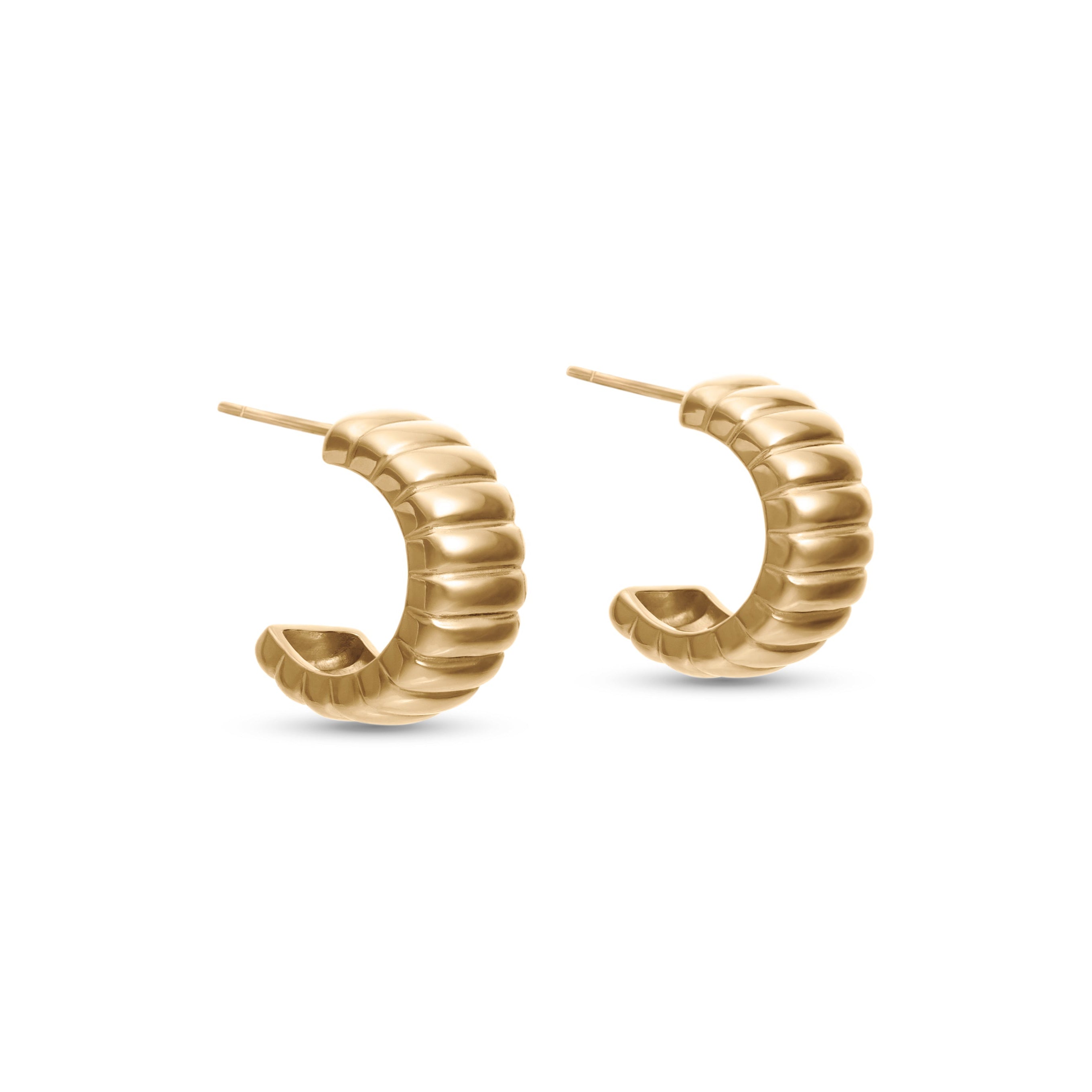 Charlotte Hoop Earrings