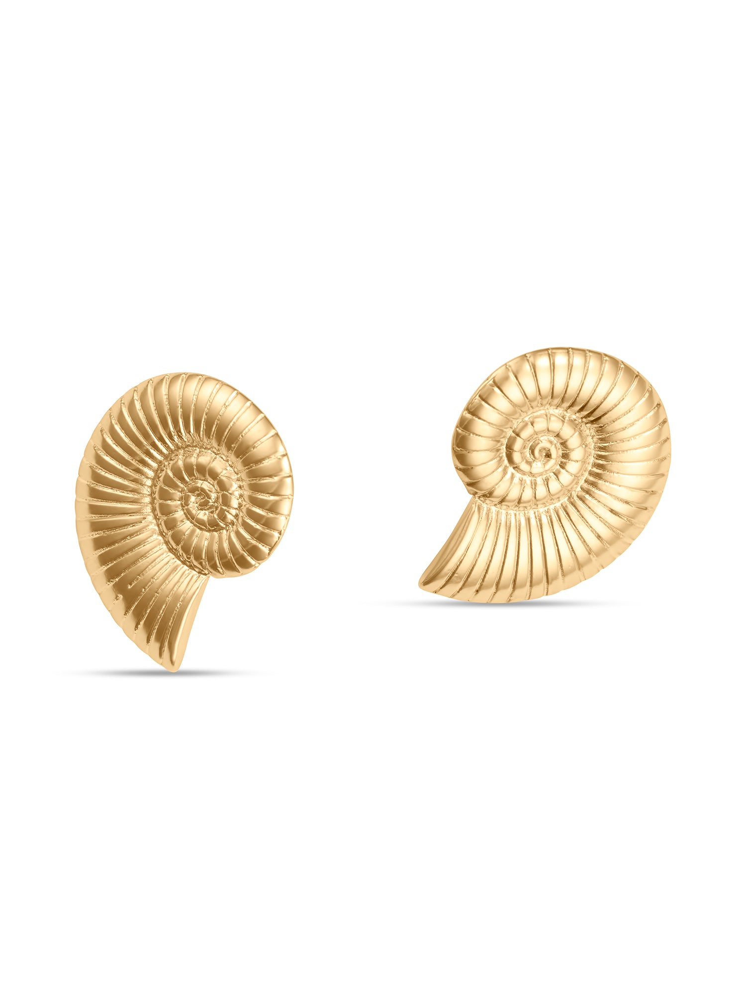 La Cosse Shell Earring, Large